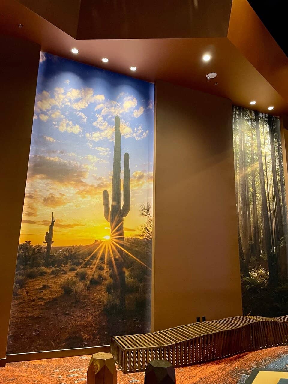 Lost Cactus Bar
