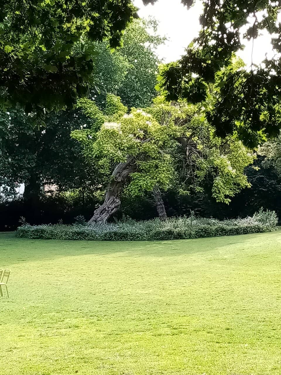 Picturesque Pond