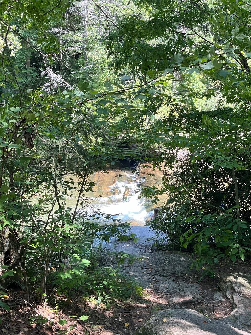 Natural Wading Area