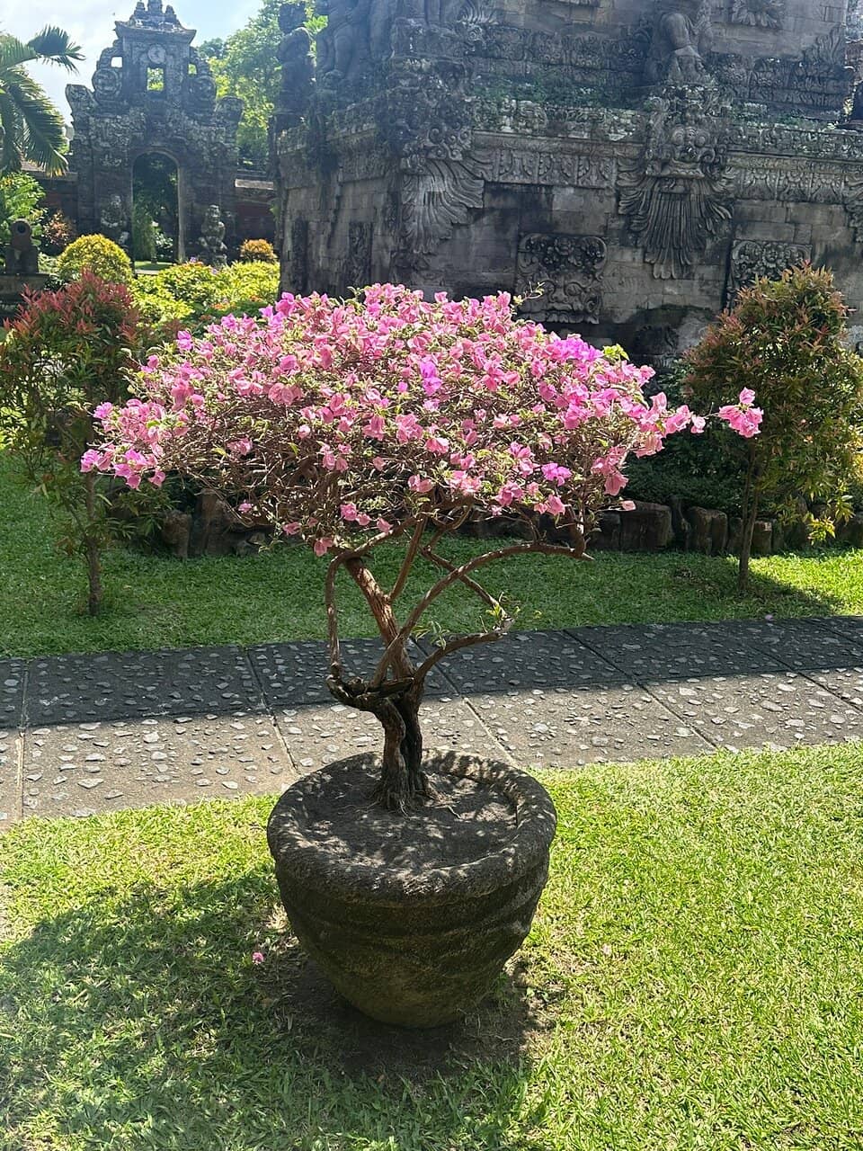 Vertical photo