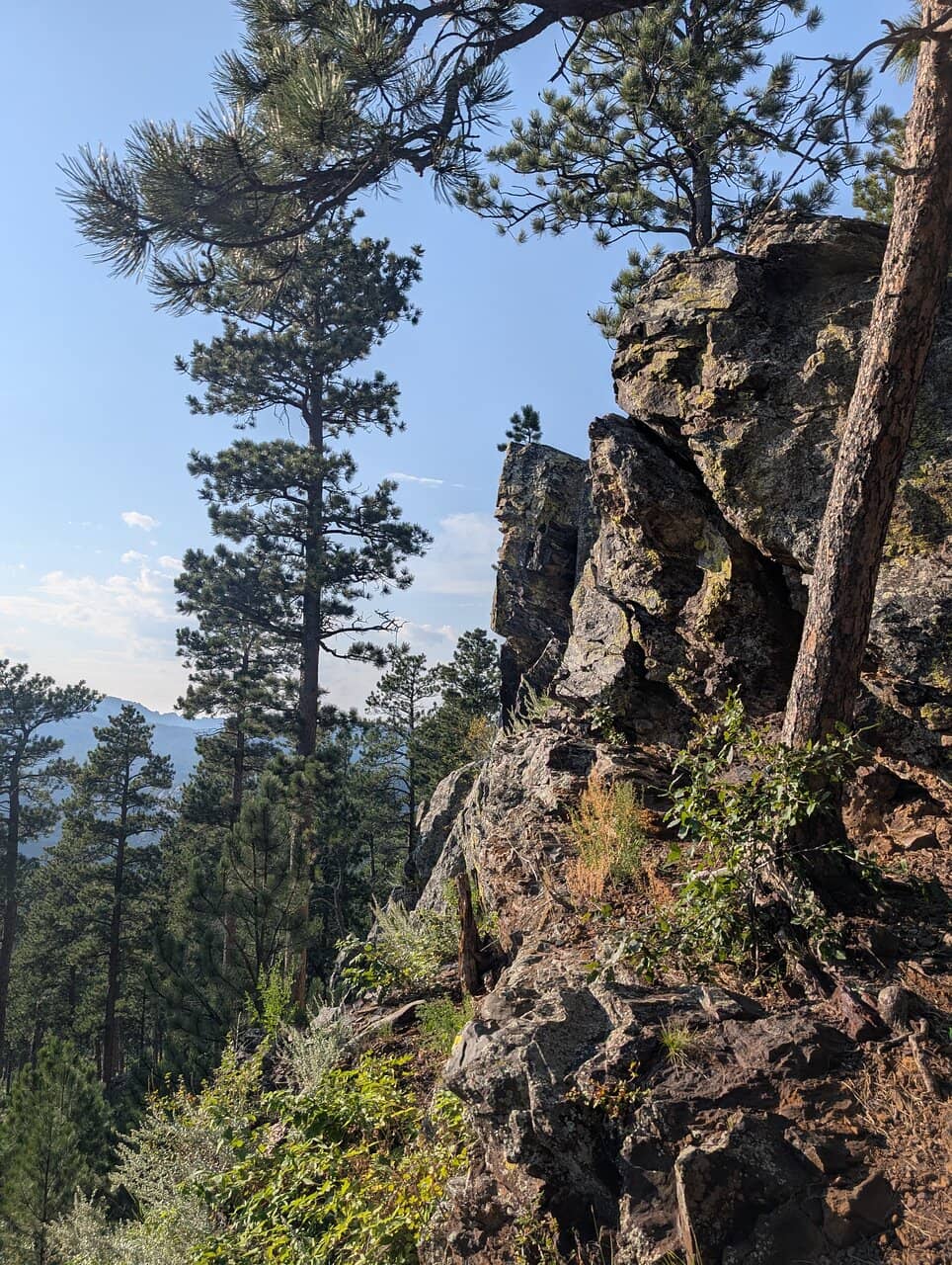 Vertical photo