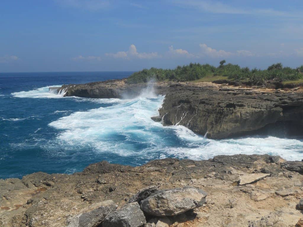The Roaring Waves