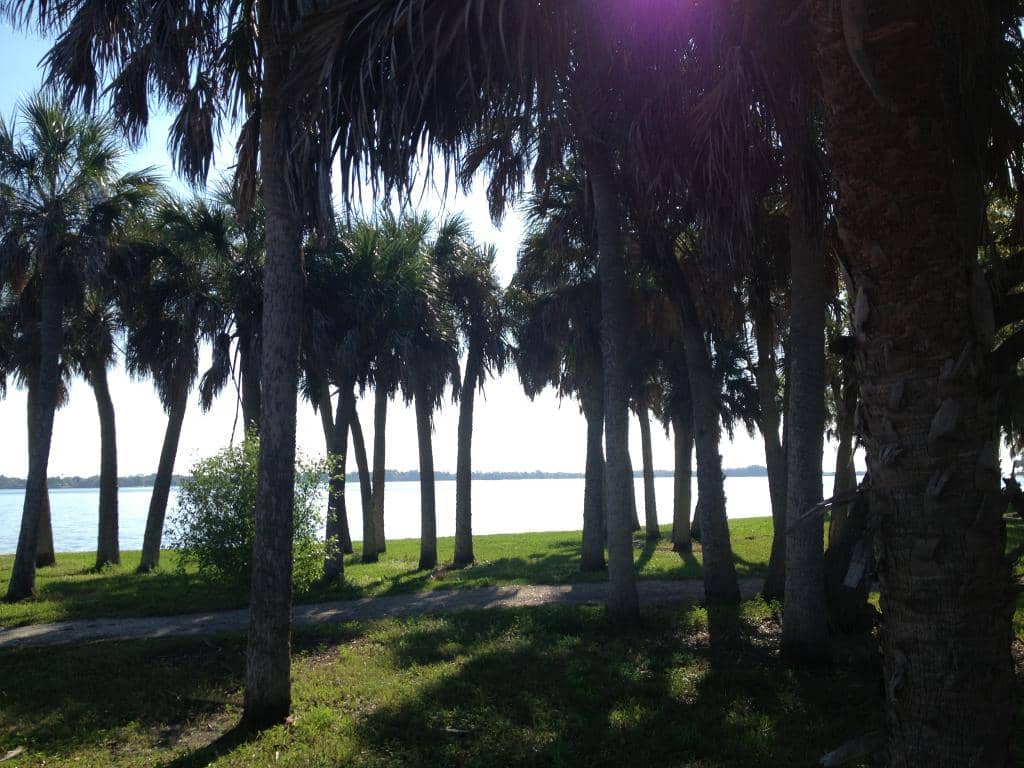 Waterfront Views