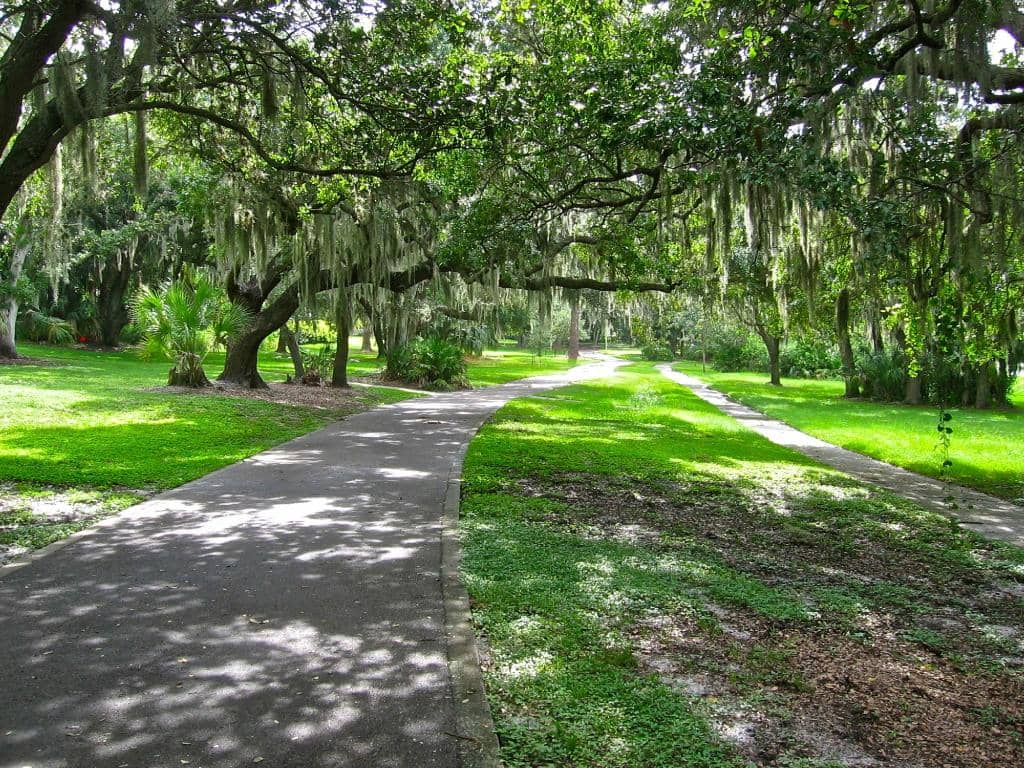 Kapok Park Boardwalk