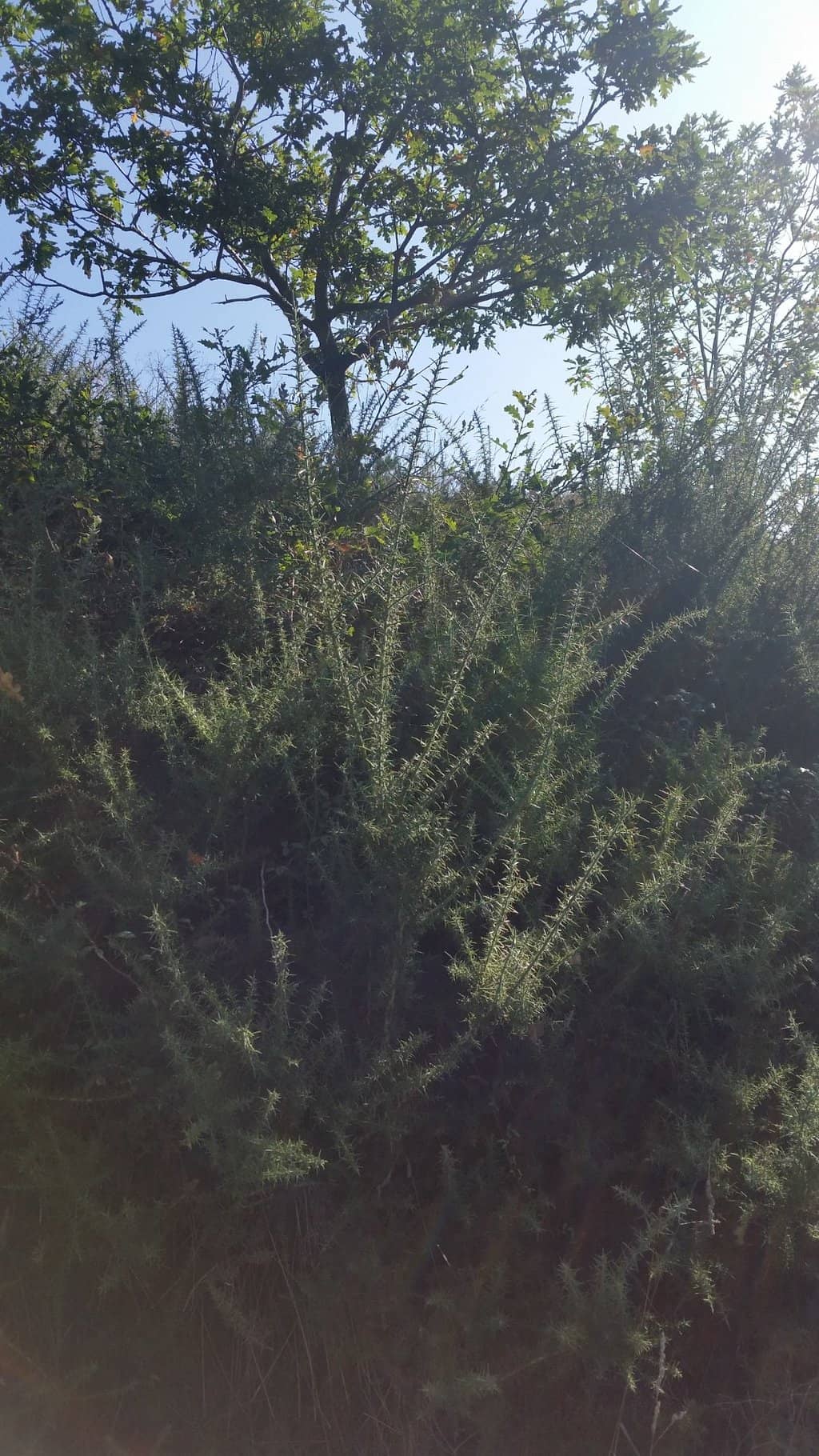 Vertical photo