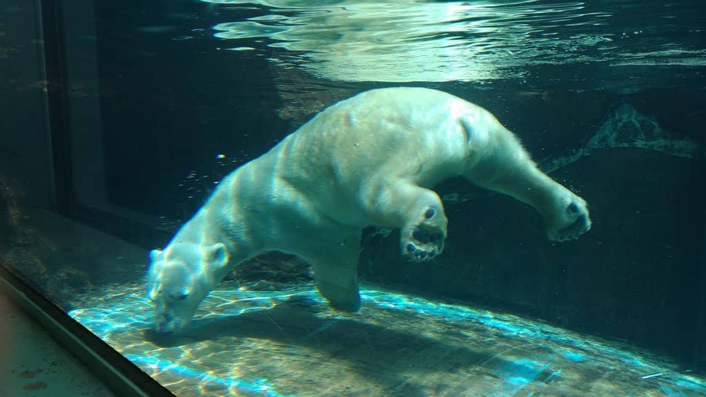 Toyohashi Zoo
