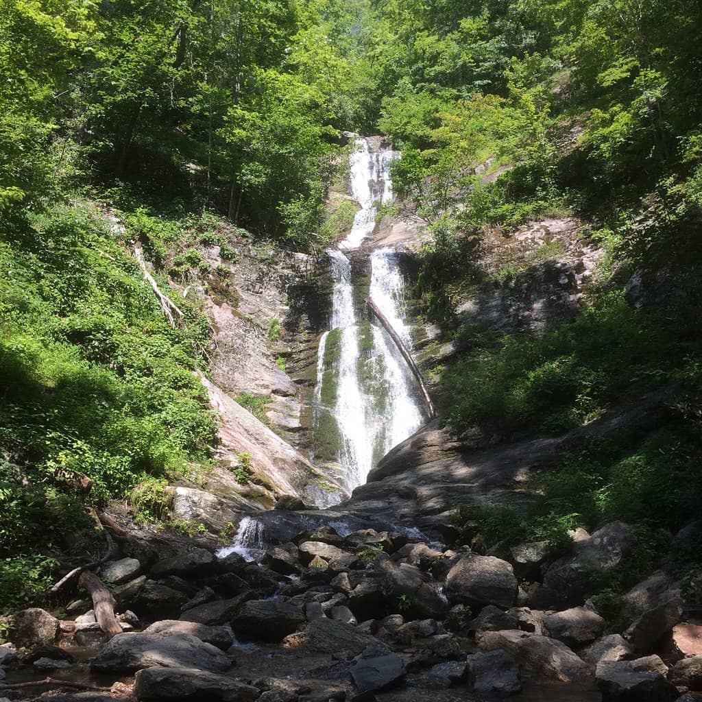 Vertical photo