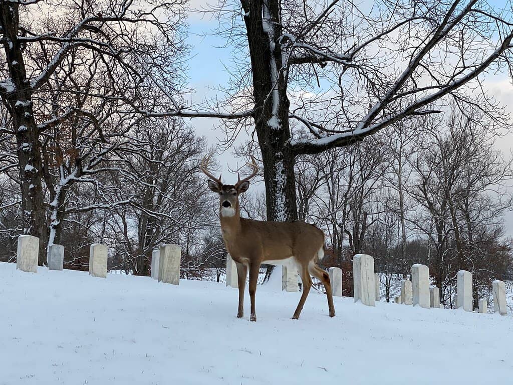 Archery Range