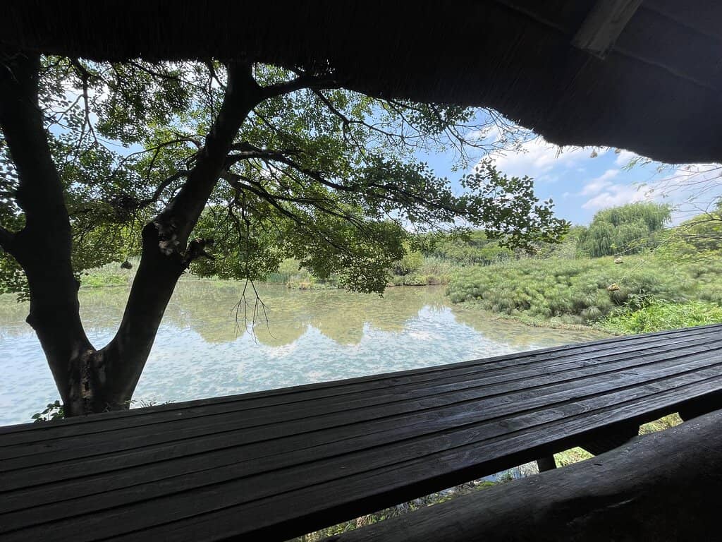 Wetlands & Pond