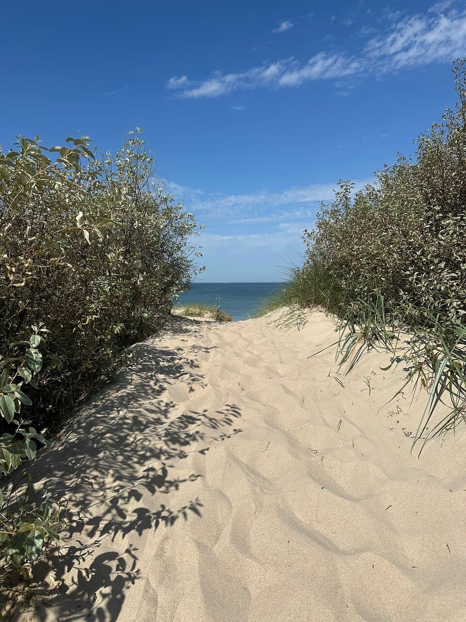 Fin og ren strand.