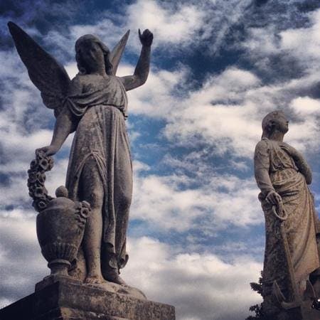                   angels
                