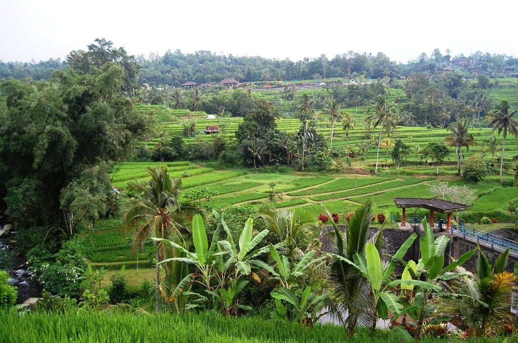 Sistim irigasi Bali atau Subak di Desa Jatiluwih, Tabanan