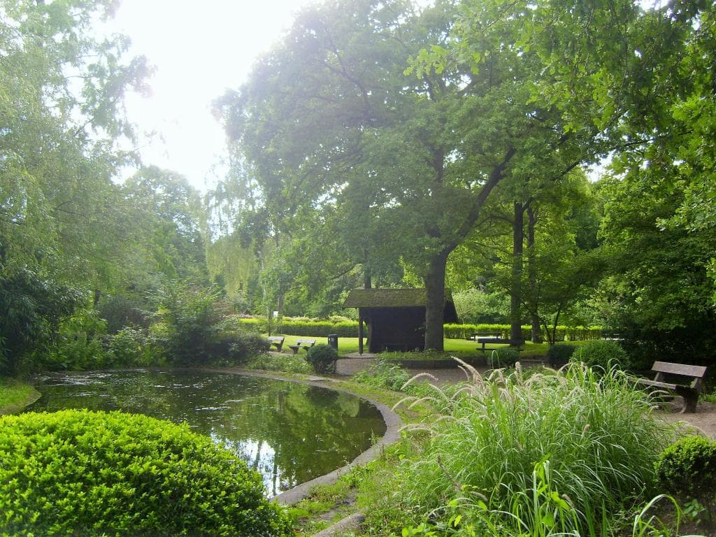 romantischer Teich