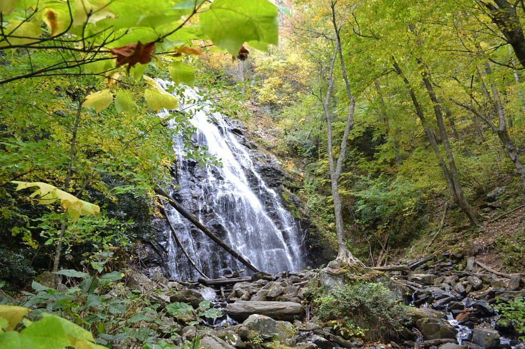 The falls