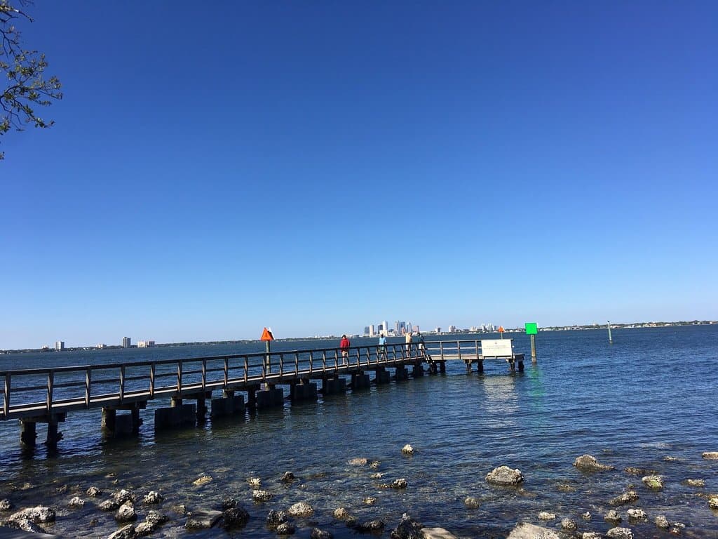 Beautiful day