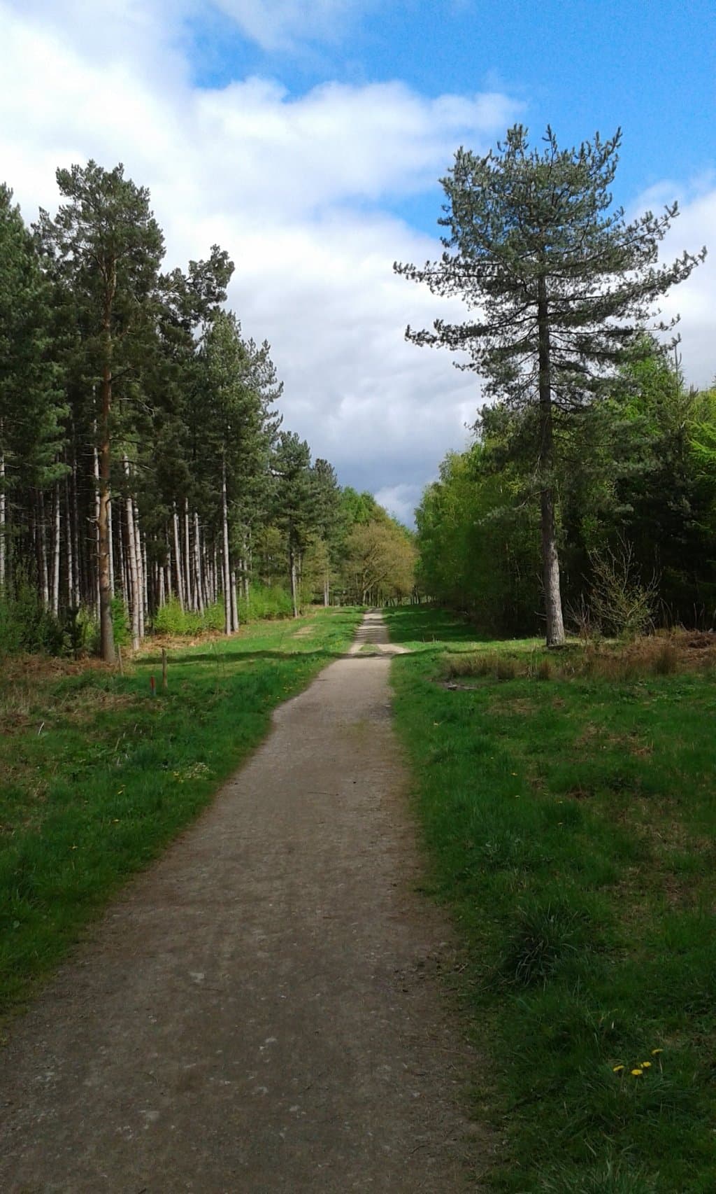 Haw Park Wood