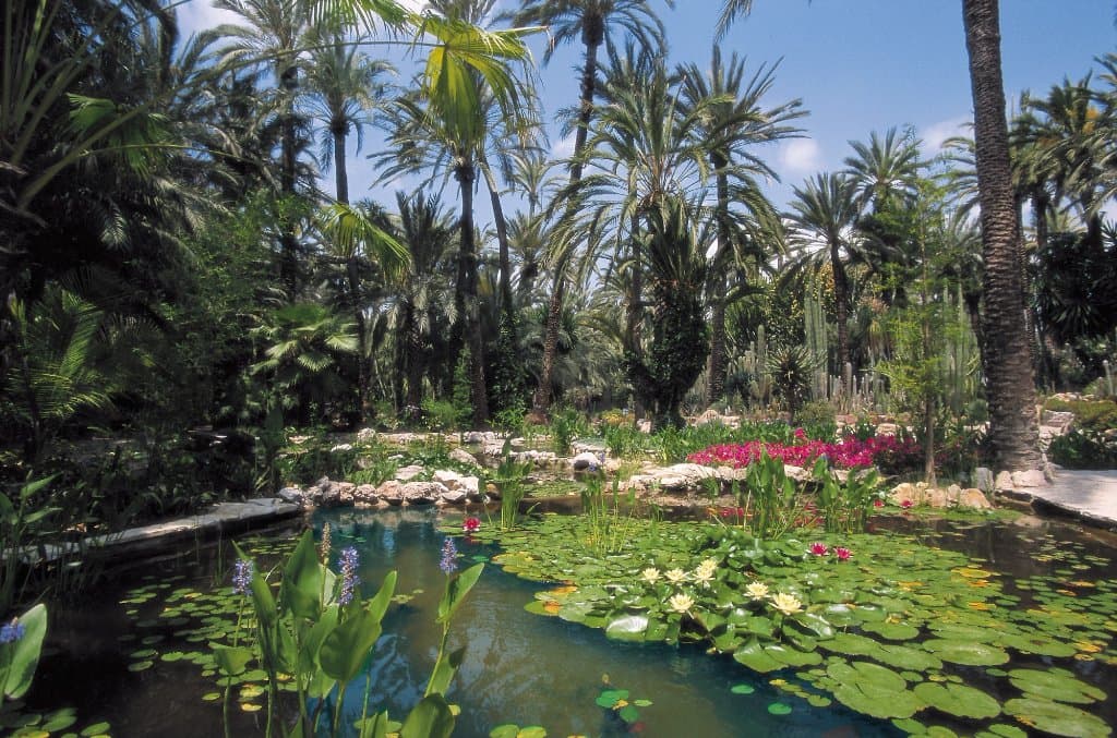 Foto estanques Jardín