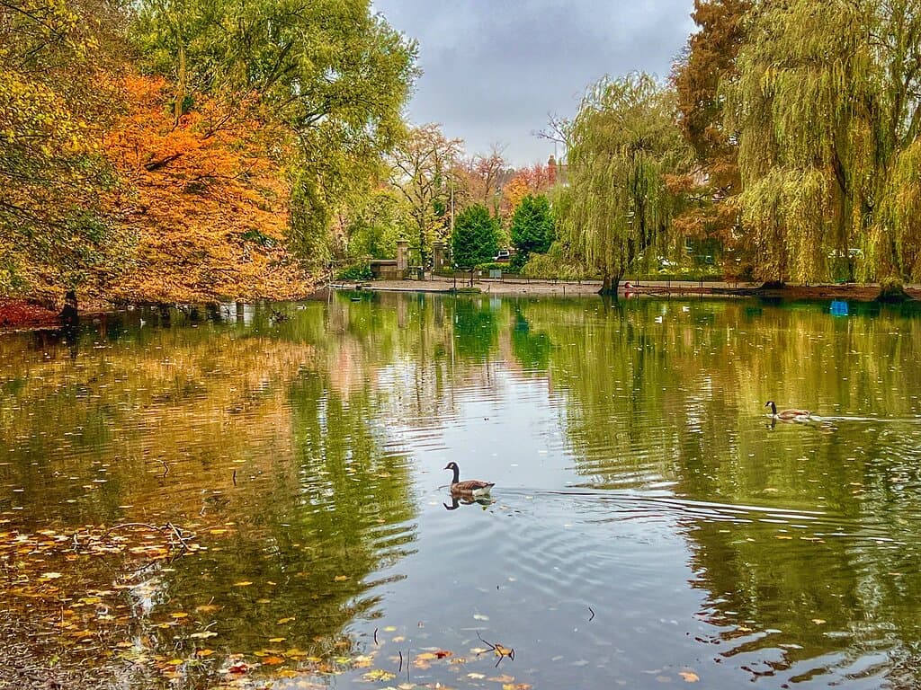 Wardown Park Luton