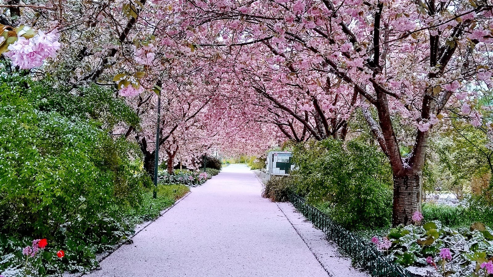 Botanical Garden Rostock - Image 1