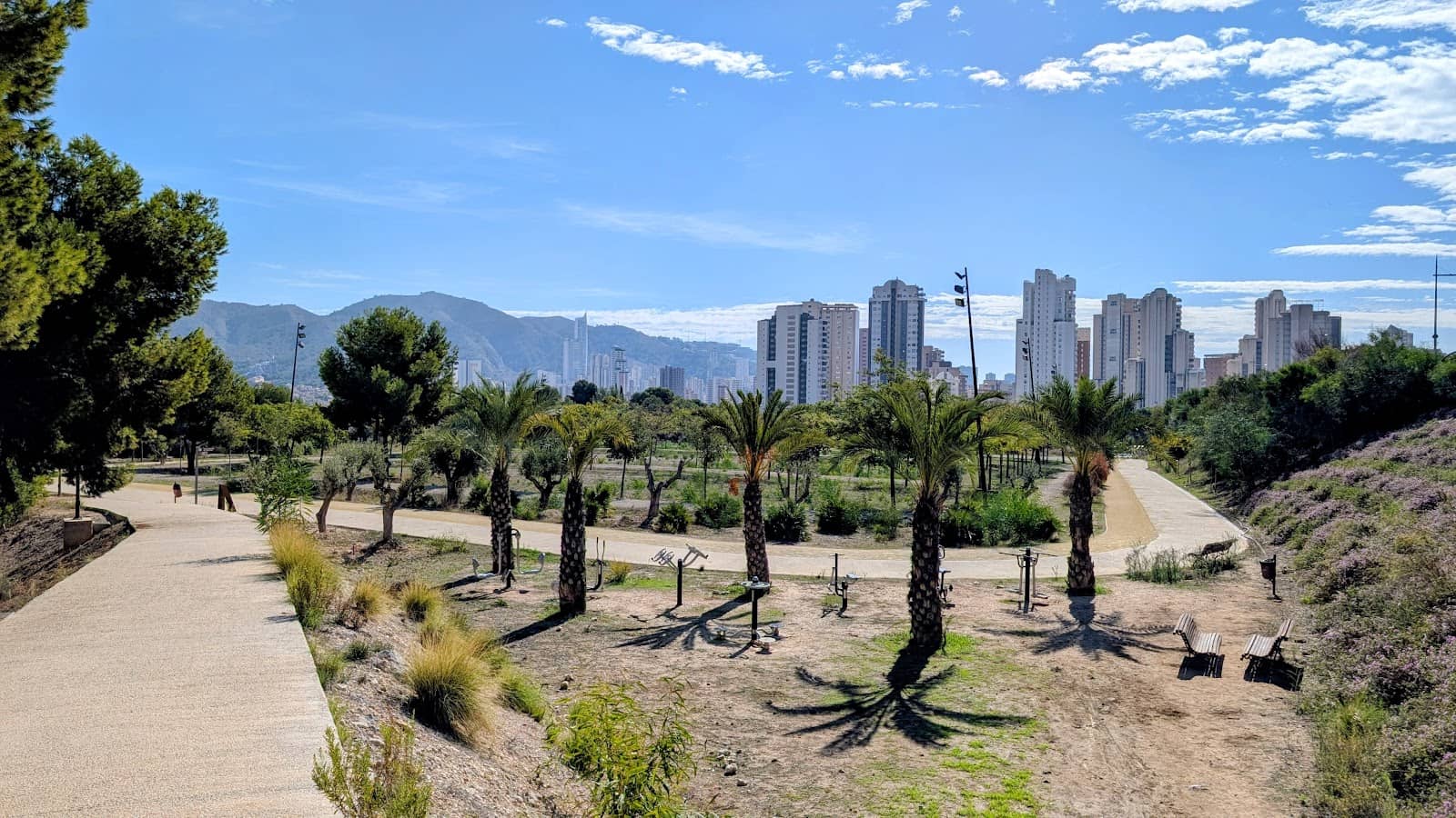 Sports and Recreation Areas