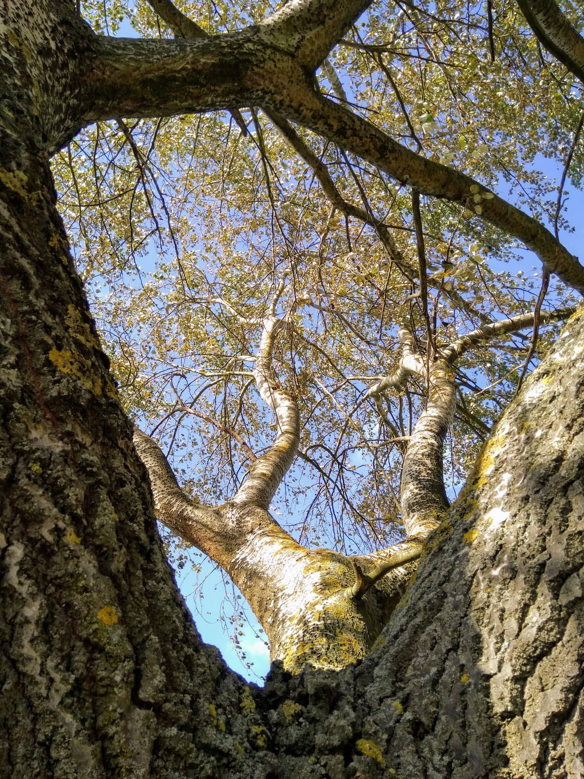 Vertical photo