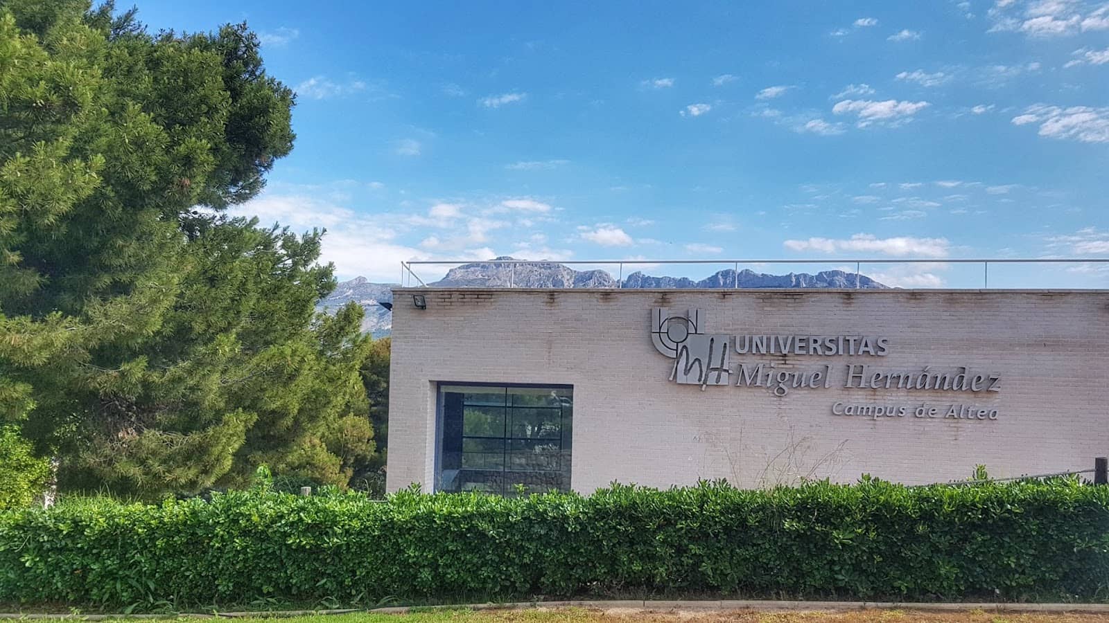 Erasmus Experience Hub