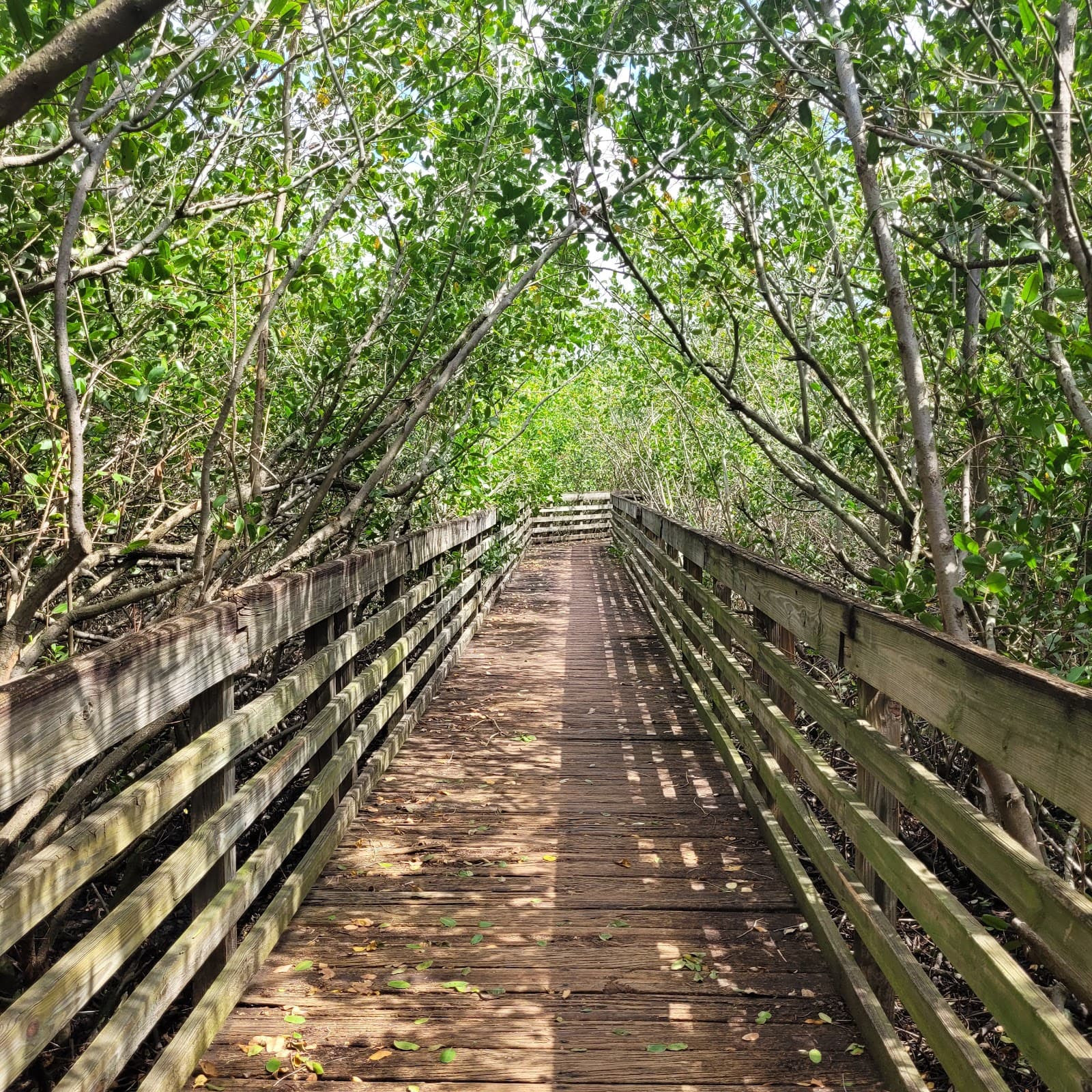 McKay Bay Nature Park - Image 1