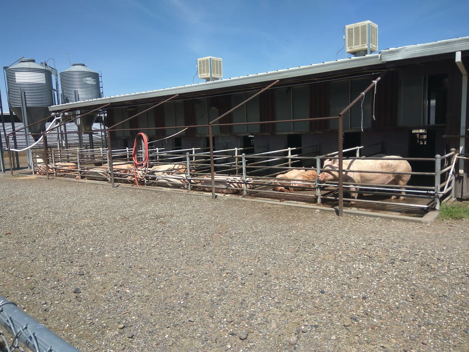 University Farm (CSU Chico) - Image 1