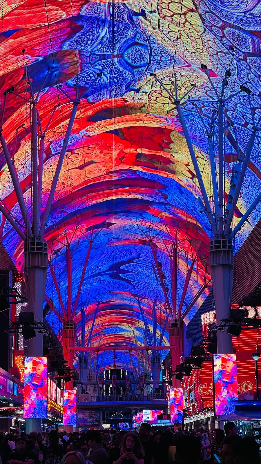 Vertical photo