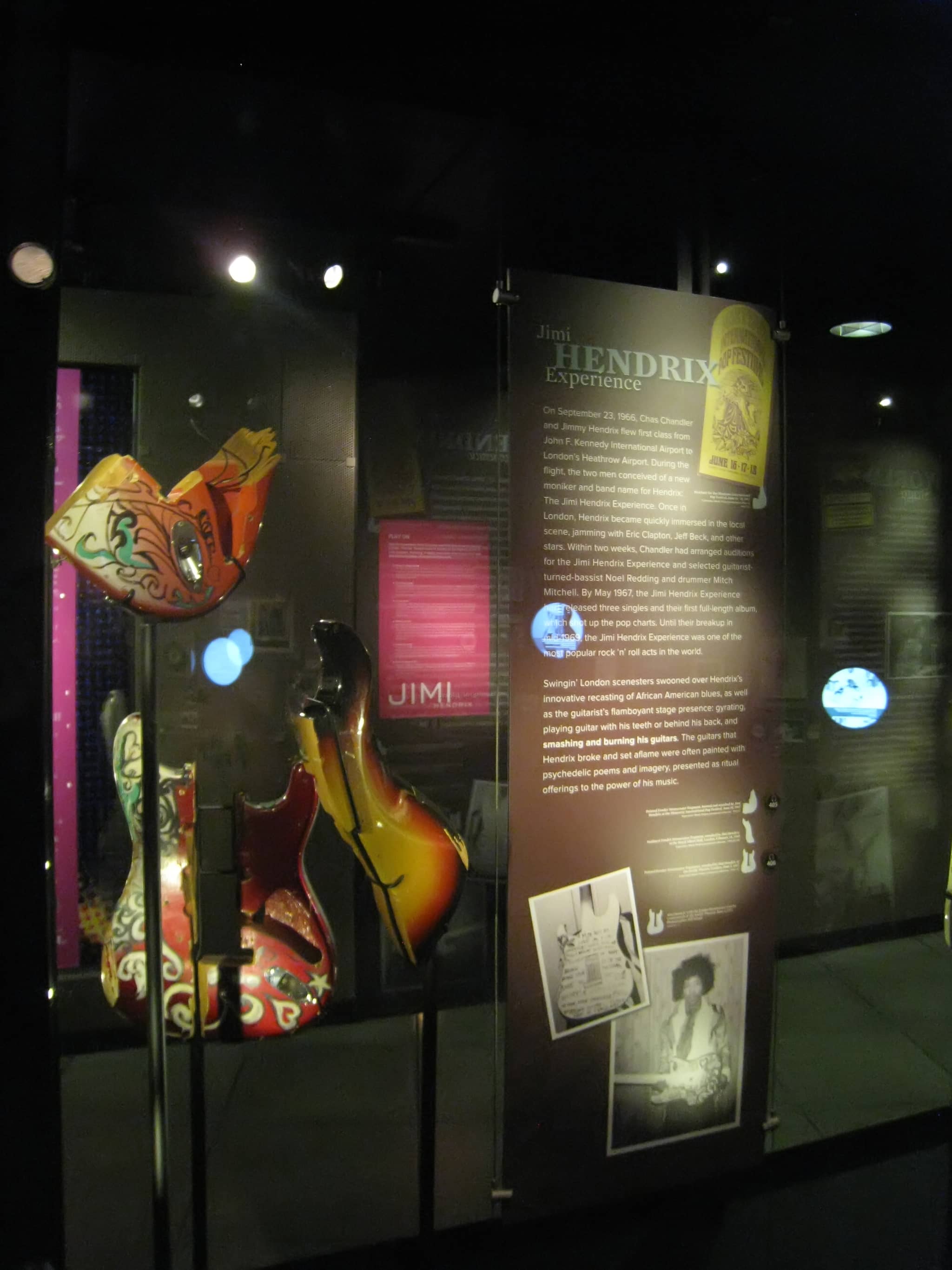 Artist Spotlights