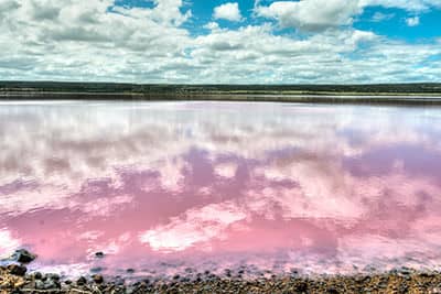 Floating in Salinity