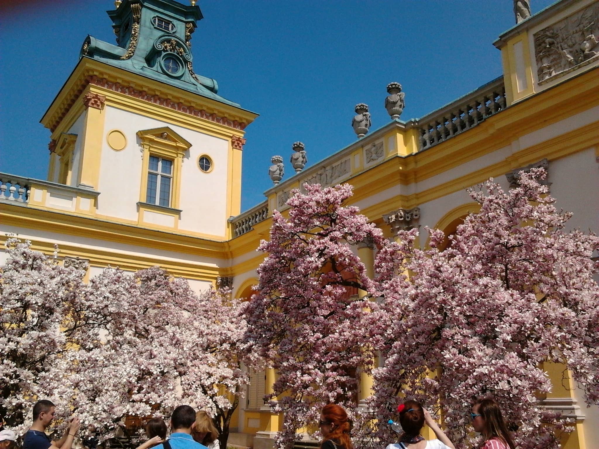 Magnificent Gardens