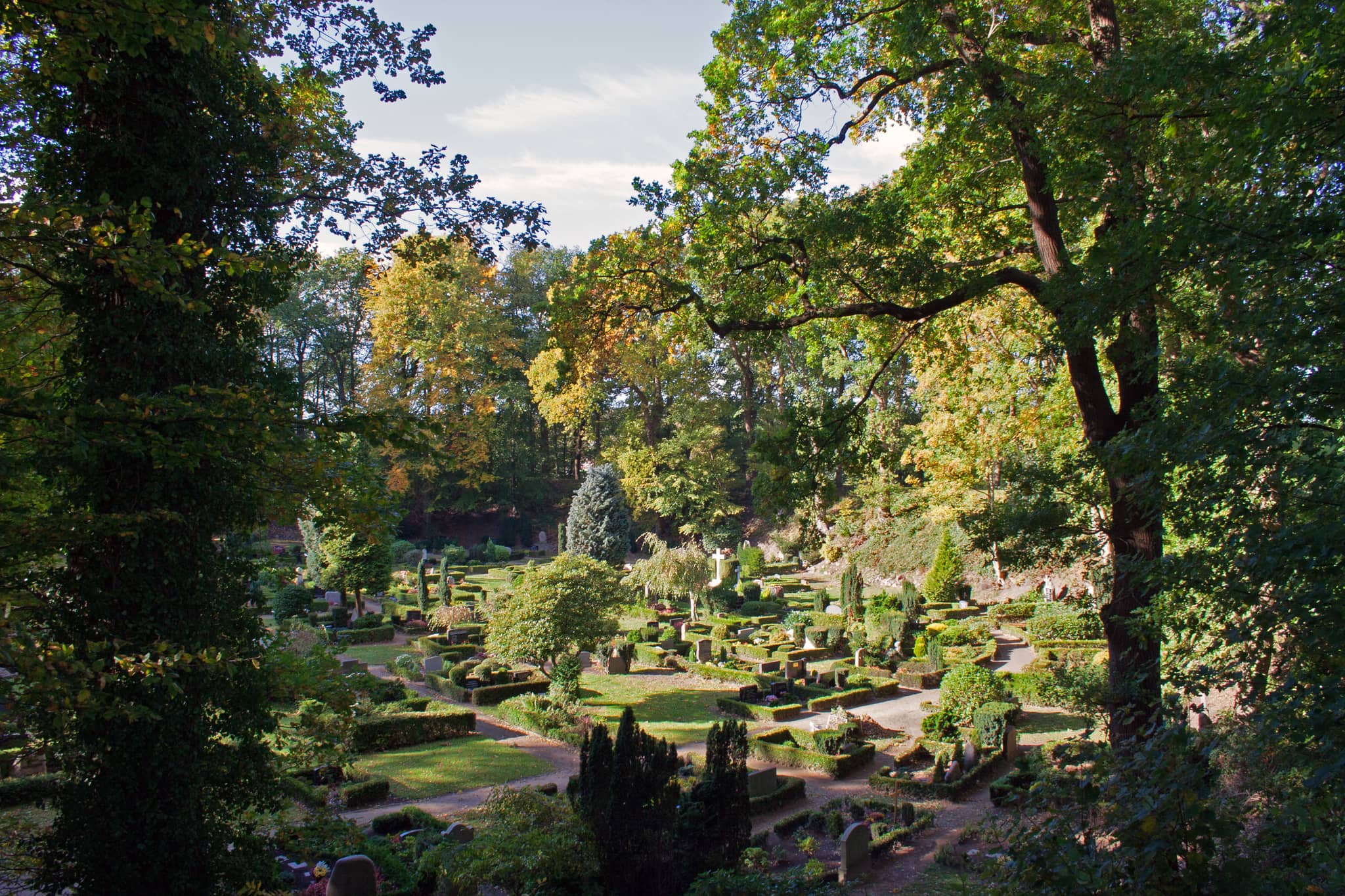 Lush Natural Surroundings