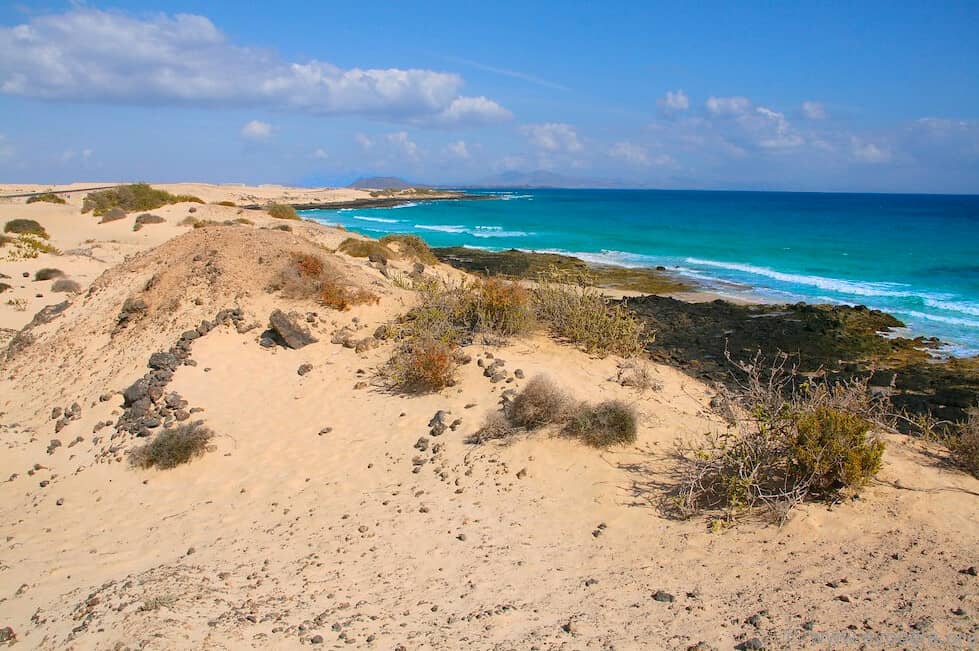 Natural Dune System