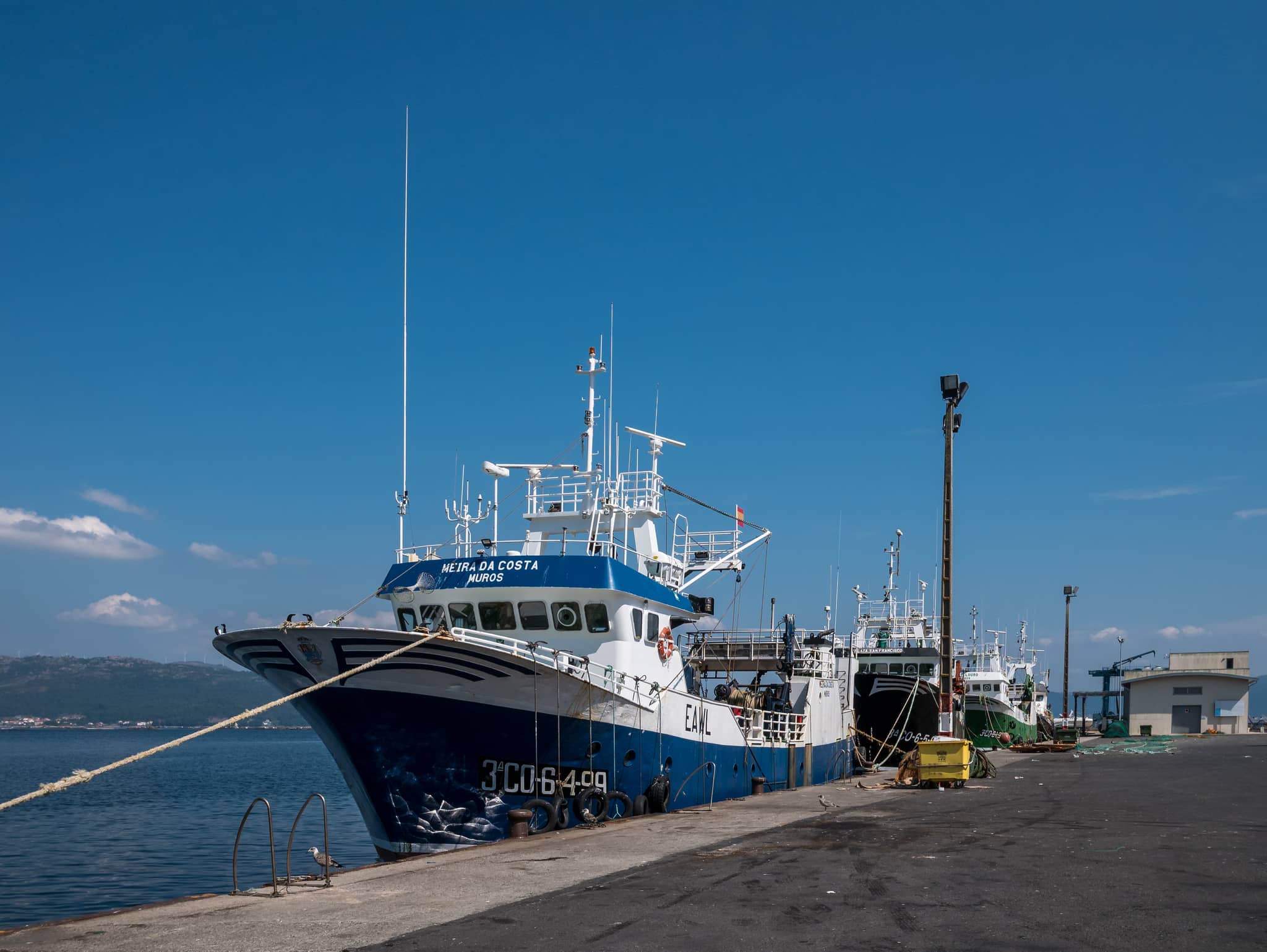 The Port Area