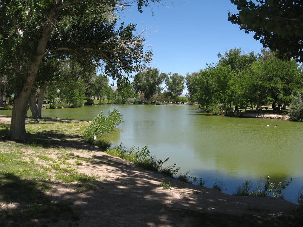 Lush Green Spaces