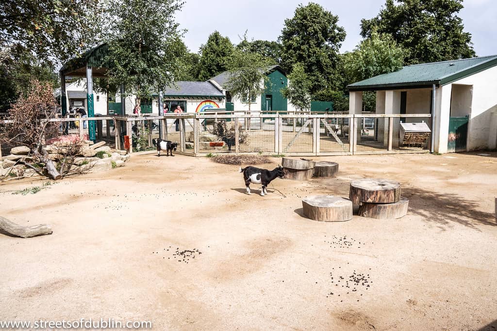 Children's Farm Fun