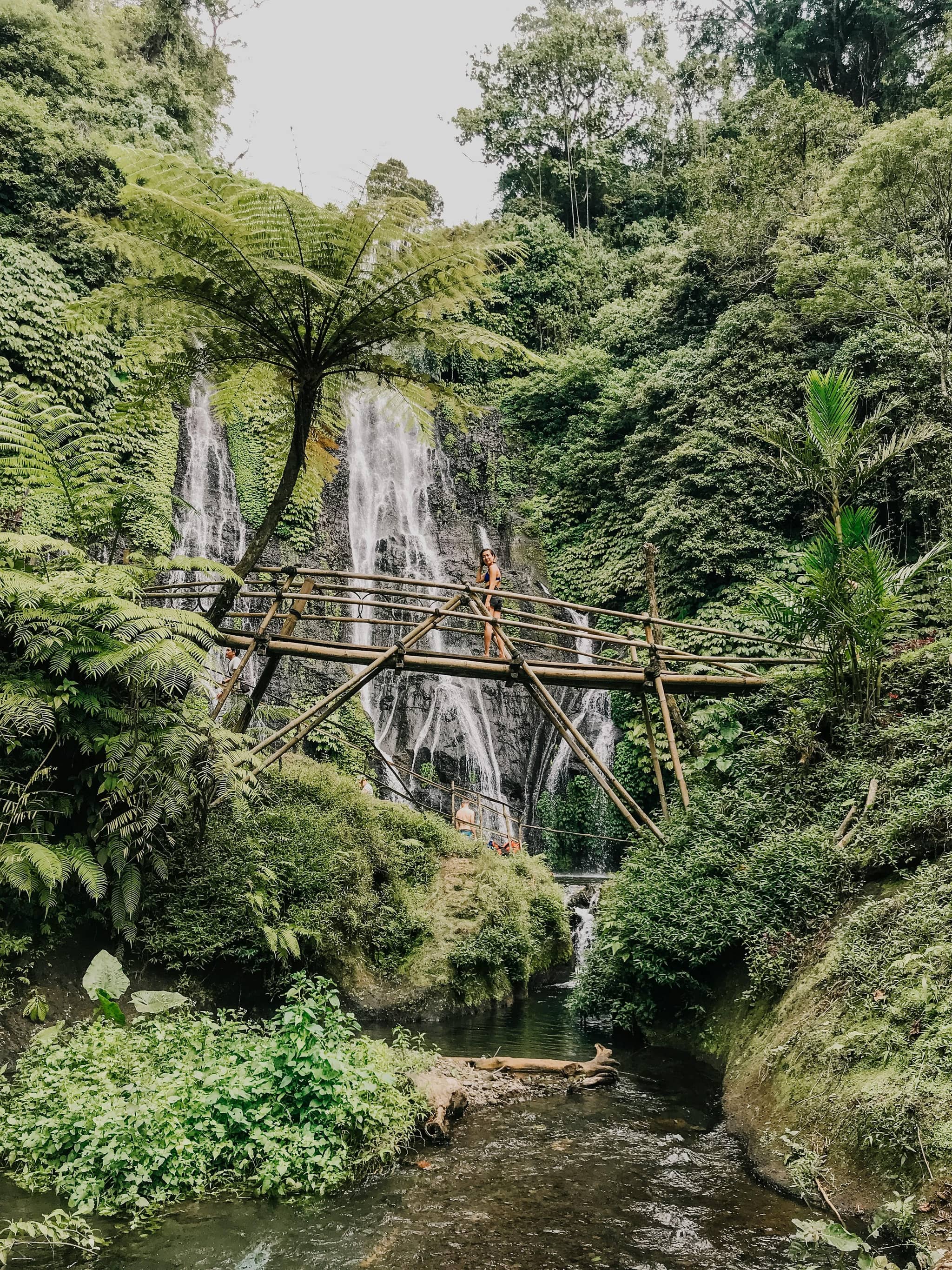 Lush Jungle Scenery
