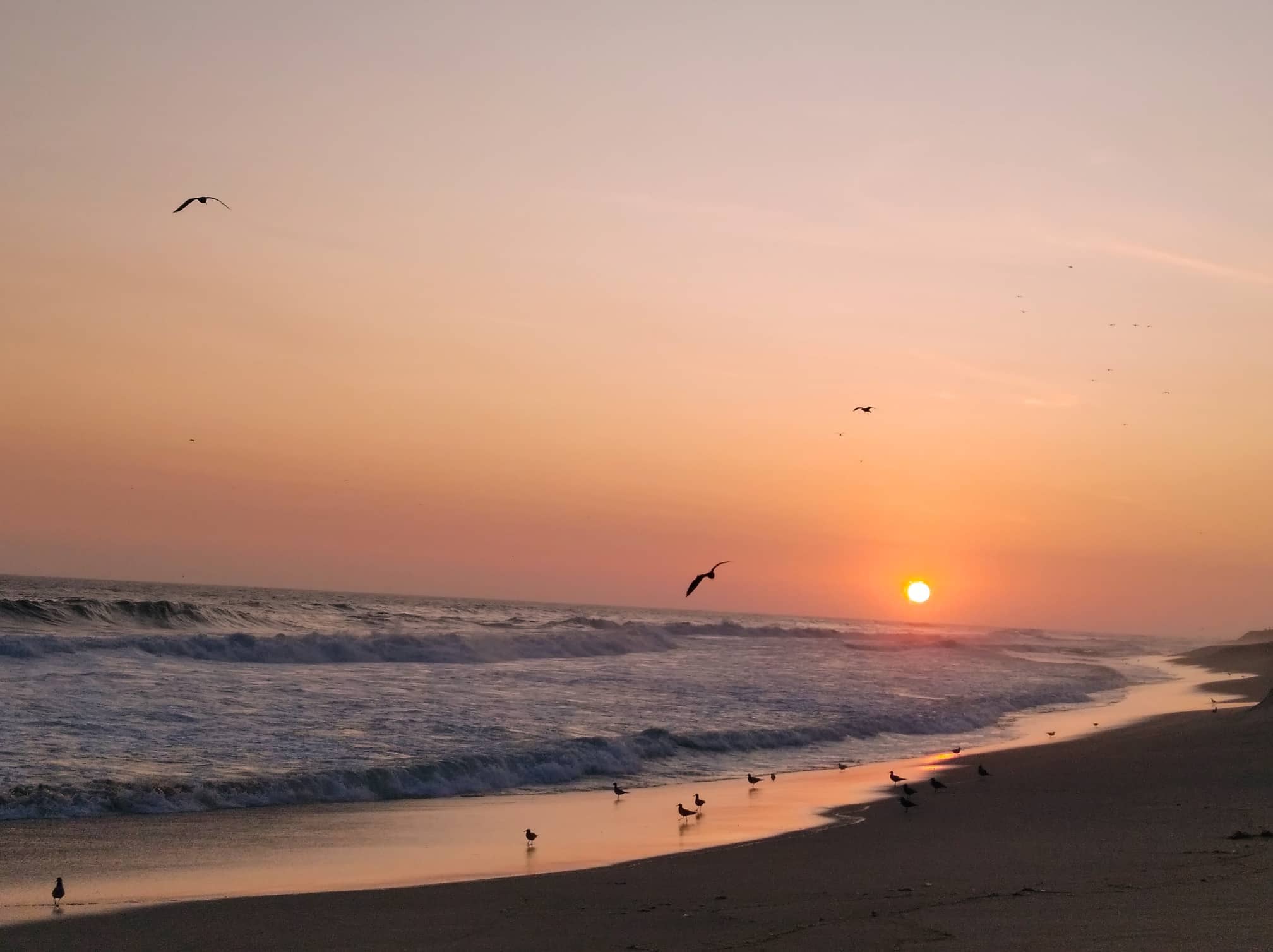 Clean and Soft Sands