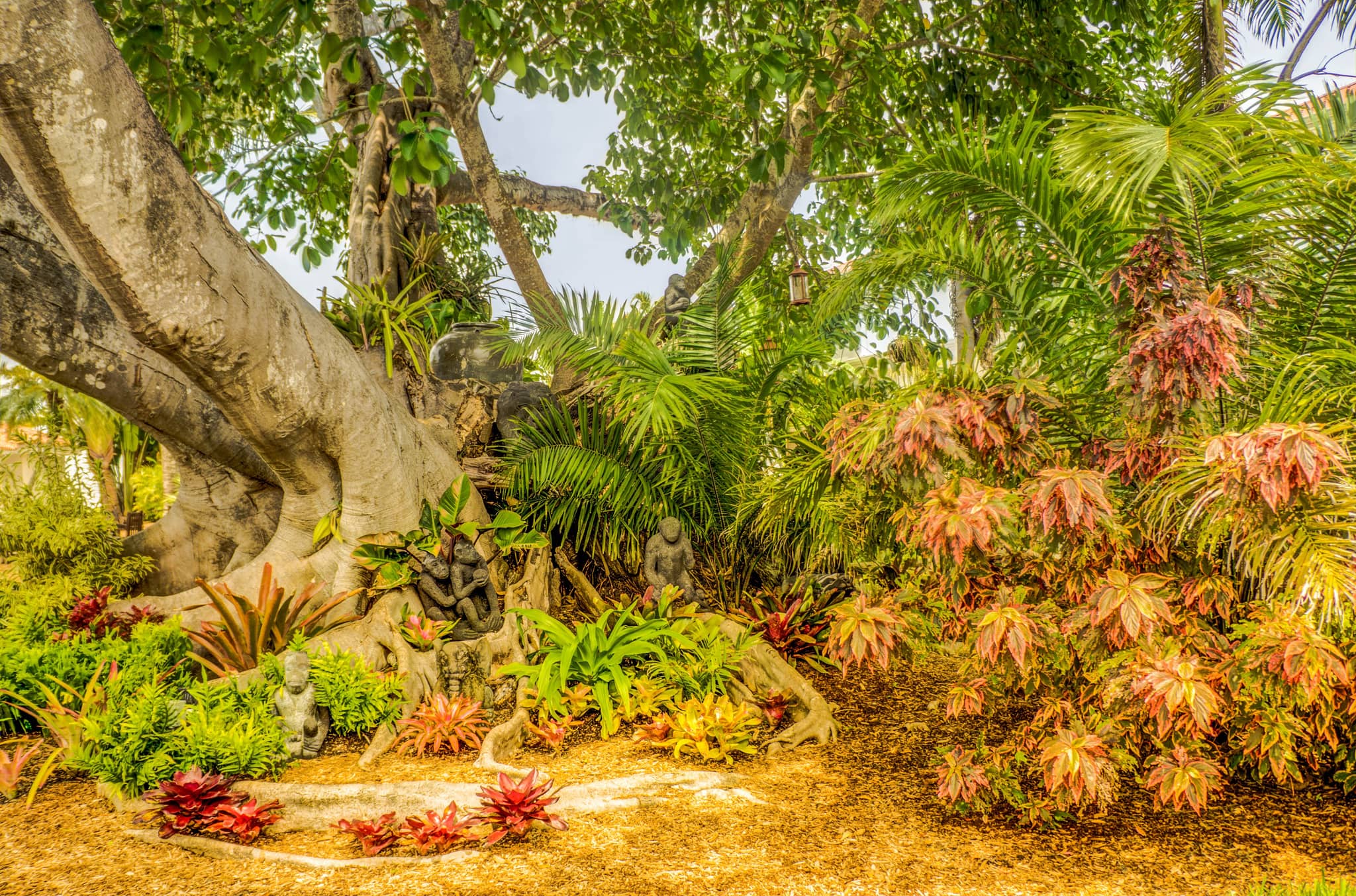Diverse Plant Collections