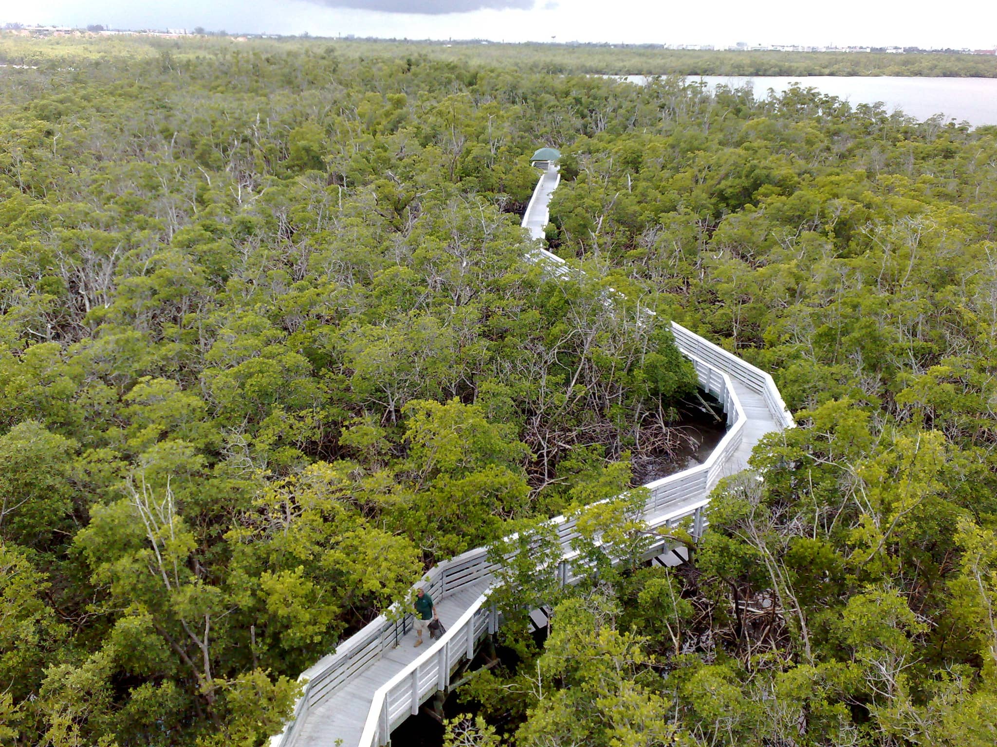 Observation Tower