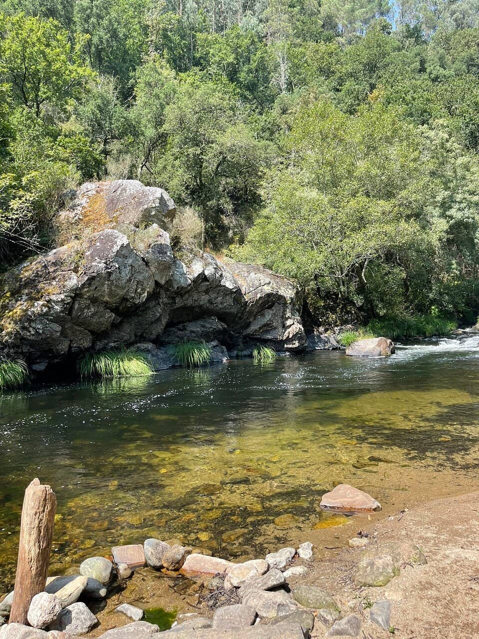 Riverbank Serenity