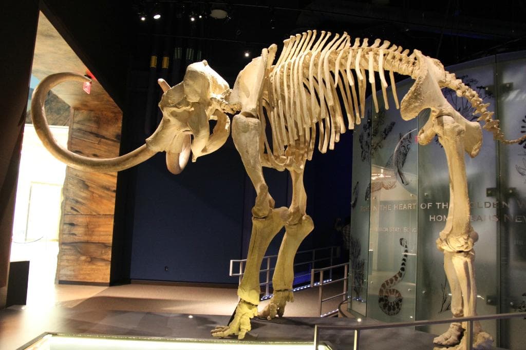 Nevada State Museum