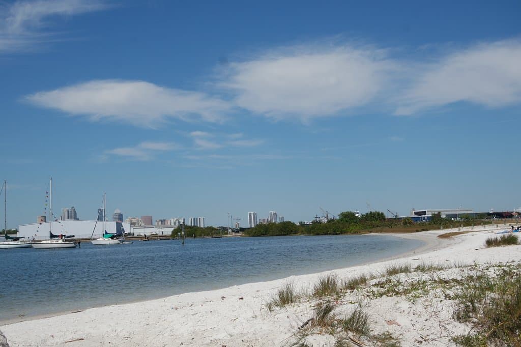 Nice stretch of beach outside the dog park area. Quiet and relaxing in March